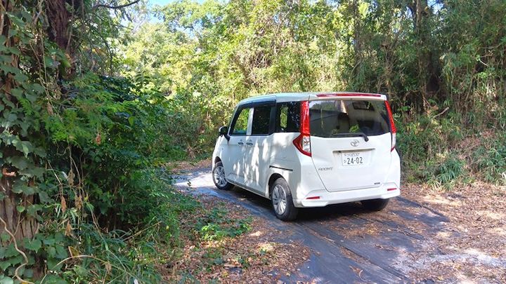 茨城県つくば市大形(一戸建)の賃貸物件のその他画像