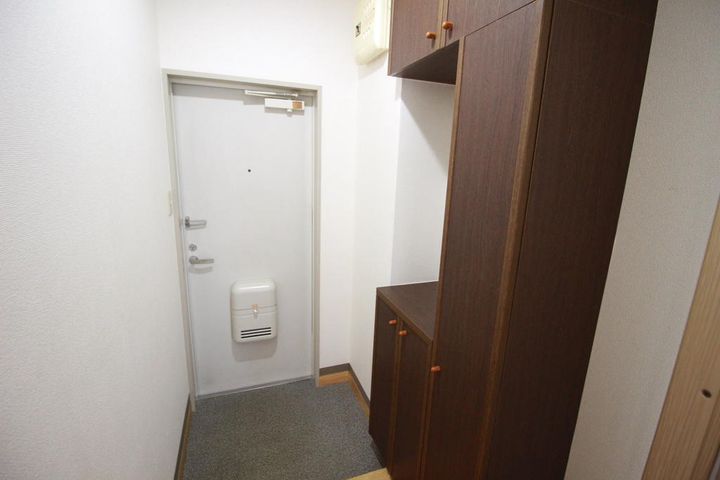 徳島県徳島市住吉3(アパート)の賃貸物件の玄関