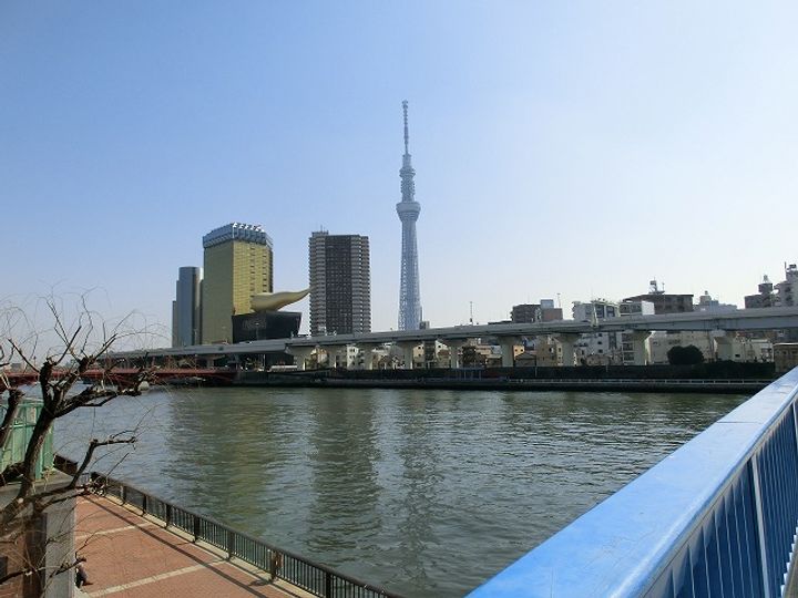 東京都台東区駒形1(マンション)の賃貸物件の周辺