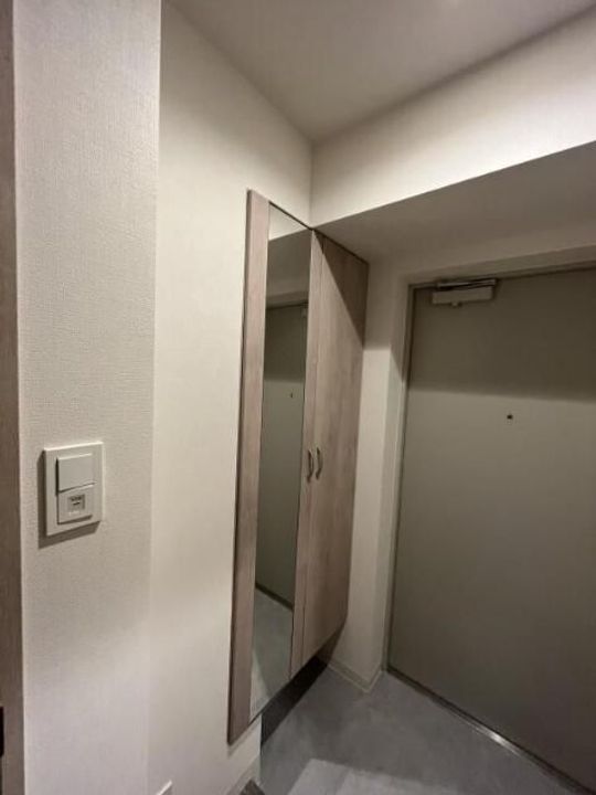 プラナ北上野の玄関