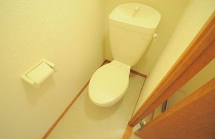 沖縄県中頭郡北谷町字上勢頭(アパート)の賃貸物件の内装