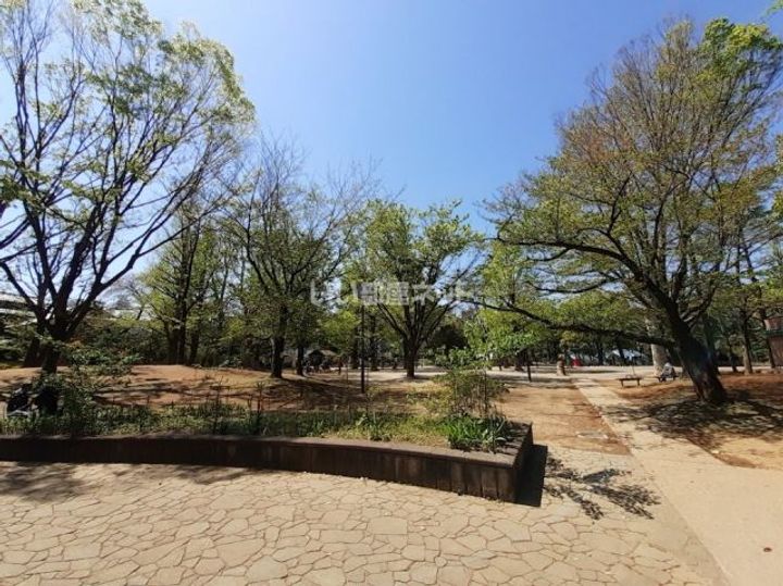 キャパシタス中野の周辺