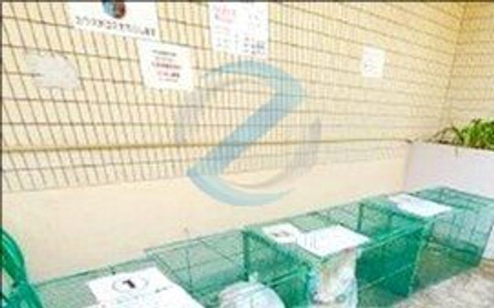 千葉県浦安市東野1(マンション)の賃貸物件の内装