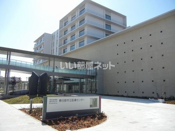 埼玉県春日部市南1(アパート)の賃貸物件の周辺