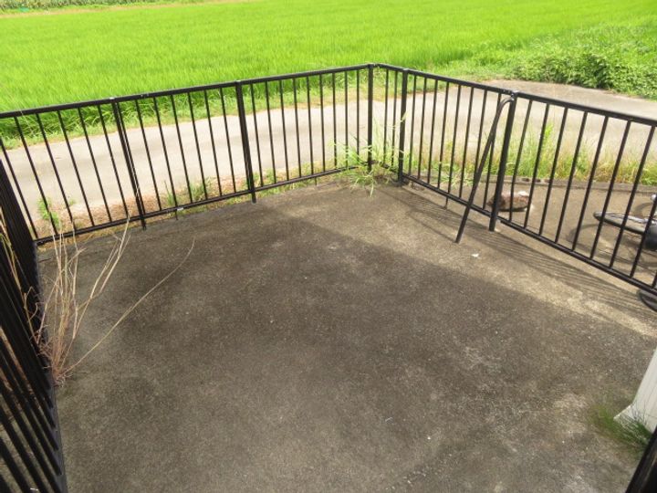 ダンケタカミヤIIの内装