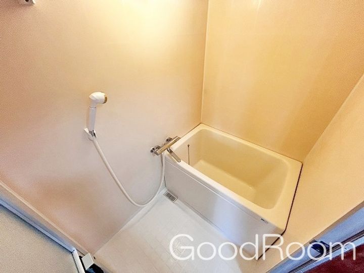 徳島県徳島市明神町6(マンション)の賃貸物件の風呂