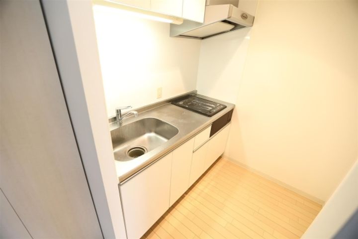 レジディア大通西のキッチン