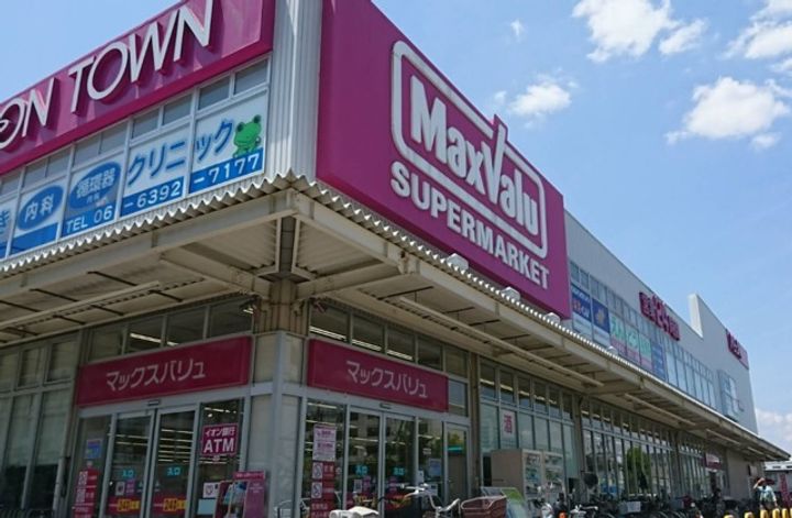 セレニテ新大阪グランデミリューの周辺