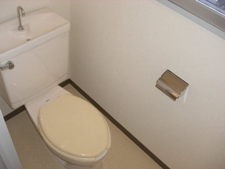 埼玉県さいたま市中央区大戸1(マンション)の賃貸物件の内装