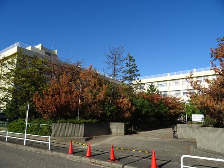 新潟県新潟市東区東中島4(一戸建)の賃貸物件の周辺