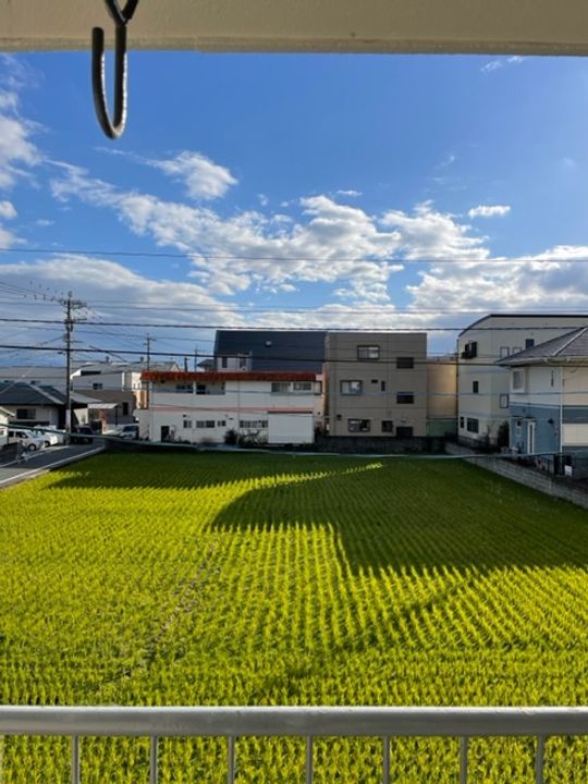 栖雅(せいが)アパートのその他画像