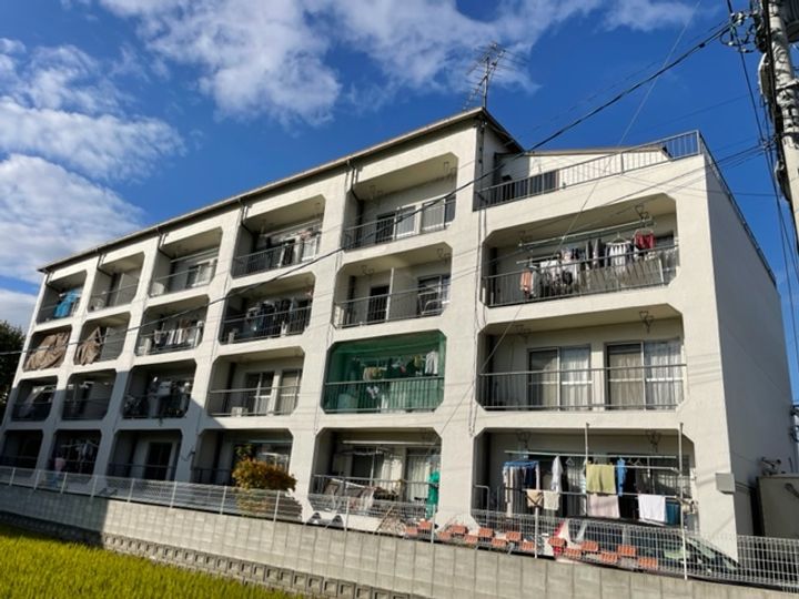 栖雅(せいが)アパートの外観