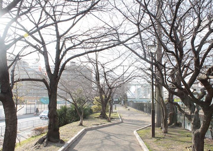 ジュネスの周辺