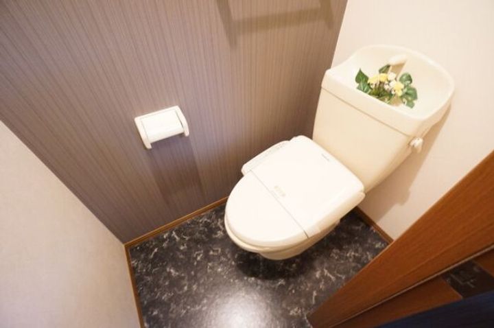 新潟県新潟市東区石山4(アパート)の賃貸物件の内装