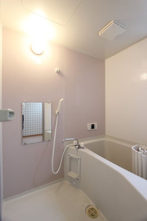 第6コスギコーポの風呂