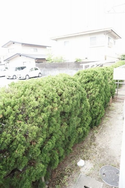 メルベイユ・ナカヤマC棟の内装