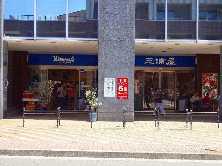 東京都国分寺市光町2(一戸建)の賃貸物件の周辺