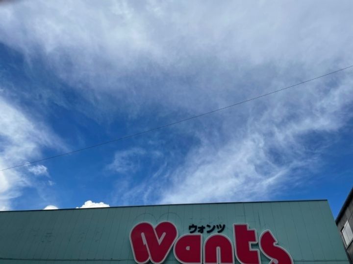 広島県広島市西区庚午北1(マンション)の賃貸物件の周辺