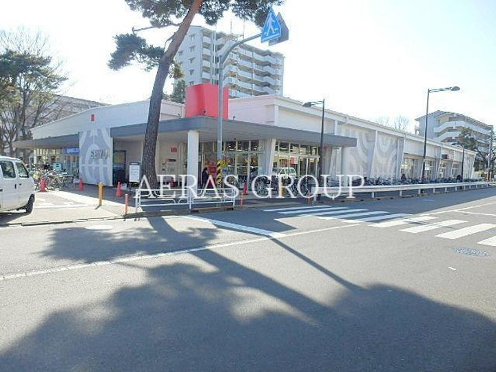 シティテラスひばりが丘の周辺