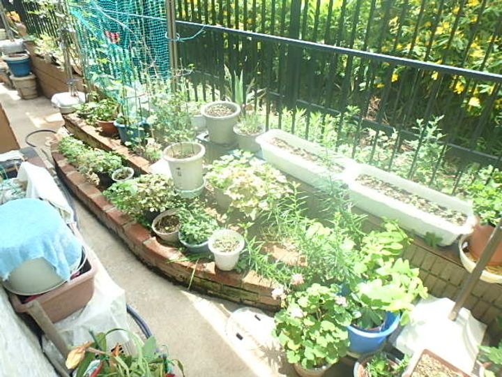 未来あるコートの内装