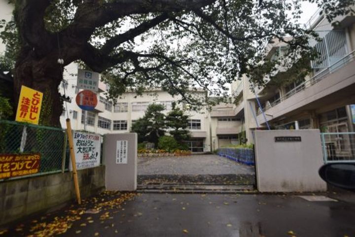 手塚グリーンハイツの周辺