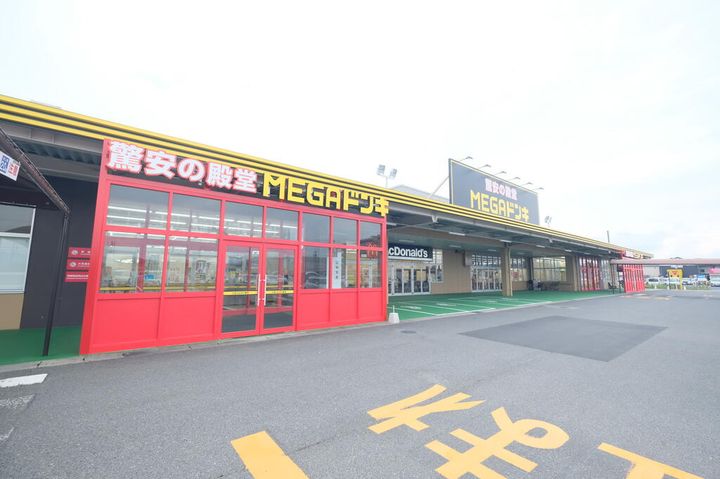 カモミールの周辺