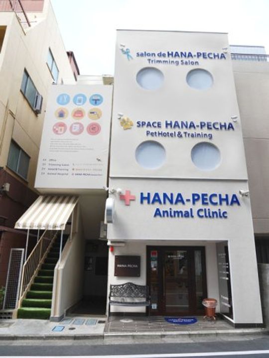 フラワーコーポのその他画像