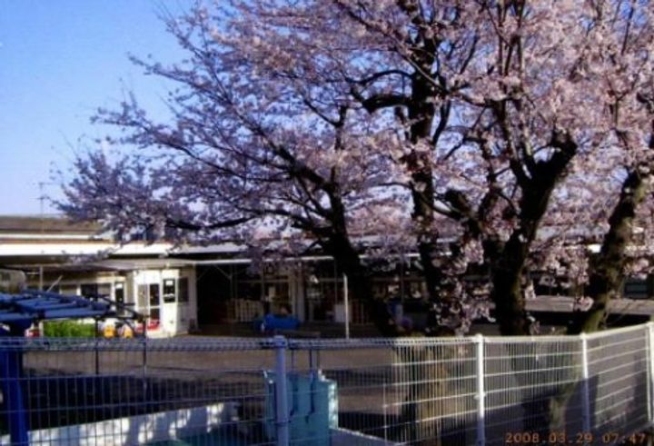 神奈川県藤沢市城南3(マンション)の賃貸物件の周辺