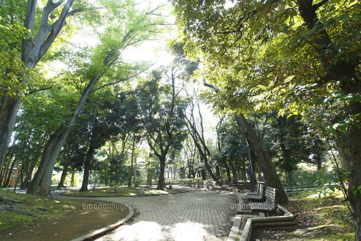 LaSante桜新町の周辺