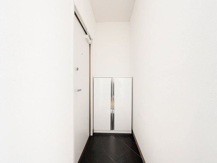 埼玉県狭山市入間川3(マンション)の賃貸物件の玄関