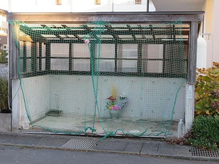 ベル・ウッドマンションのその他画像