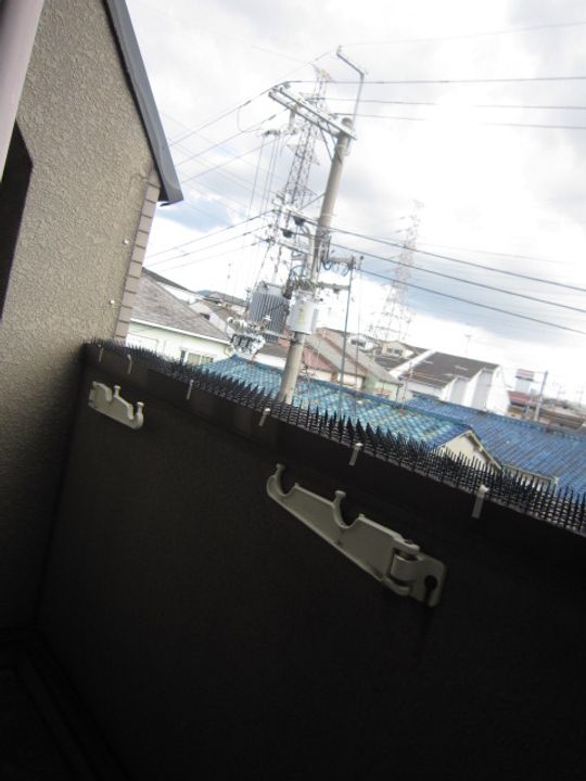 サンシャイン大池のその他画像