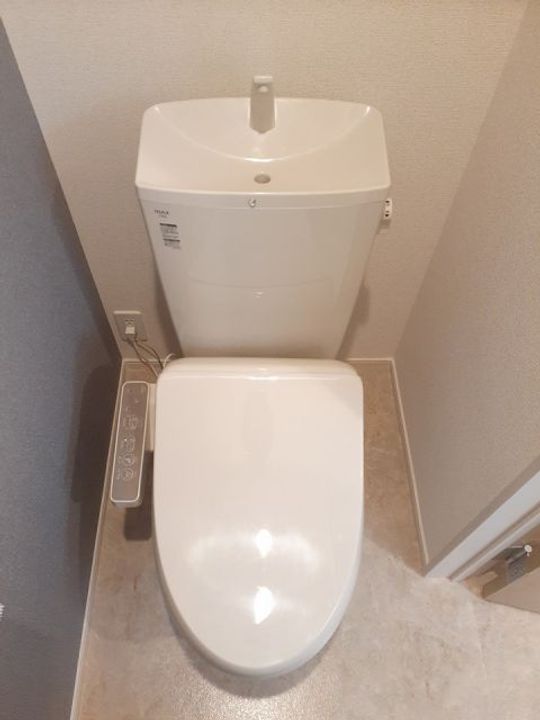 プラシード Bの内装