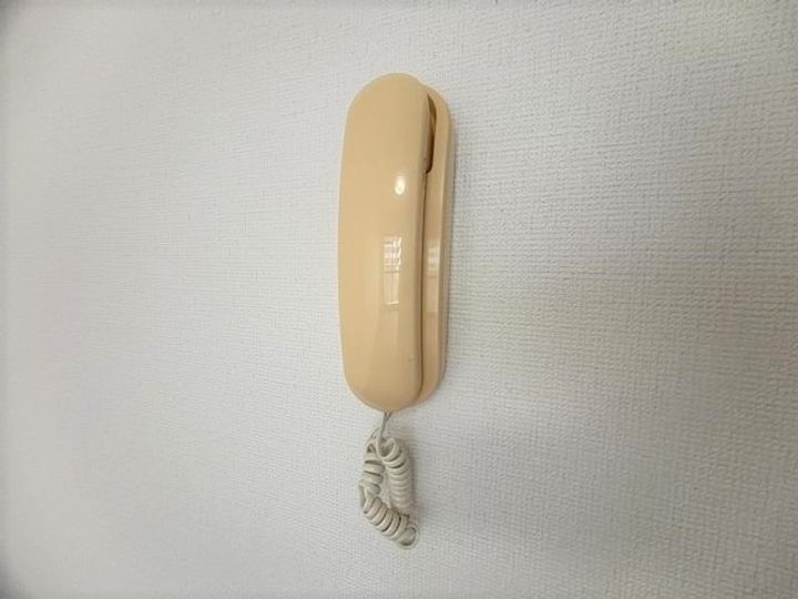 ガーデンセルリアの内装