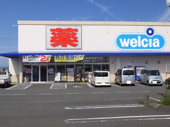 楓(メープル)の周辺