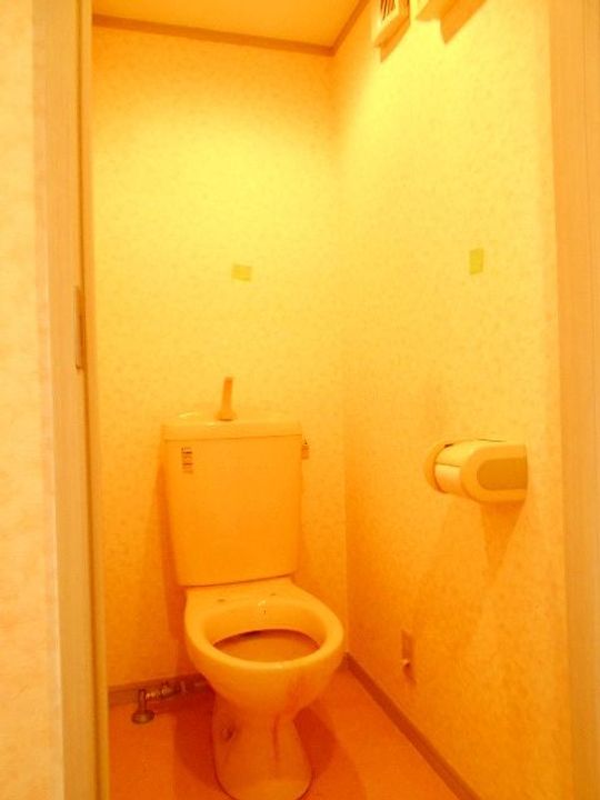 ロッシェル中央林間第9の内装