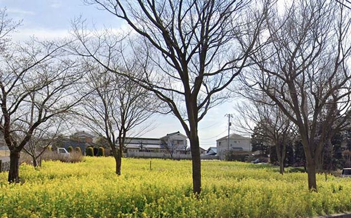 クローバーハイツの周辺