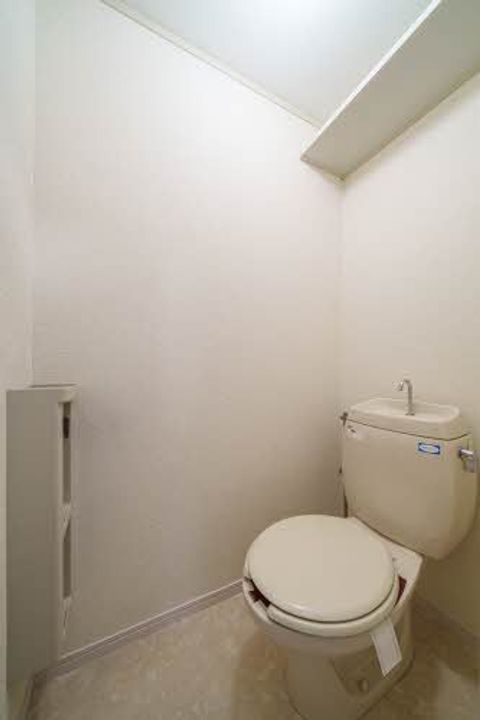 グリーンパレスMOMOの内装