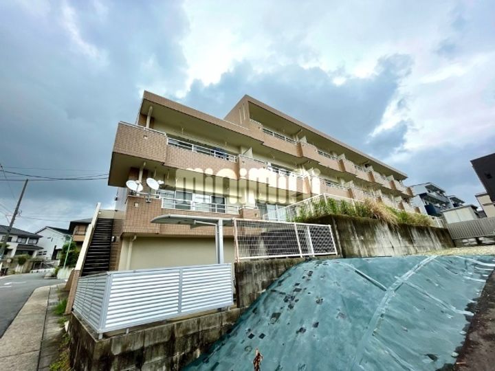 ドミール藤治の外観