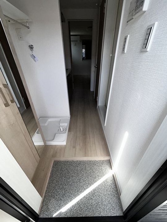 グリーンリヴィアSの玄関