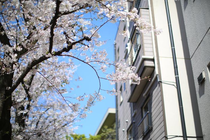 東京都新宿区高田馬場3(一戸建)の賃貸物件のその他画像