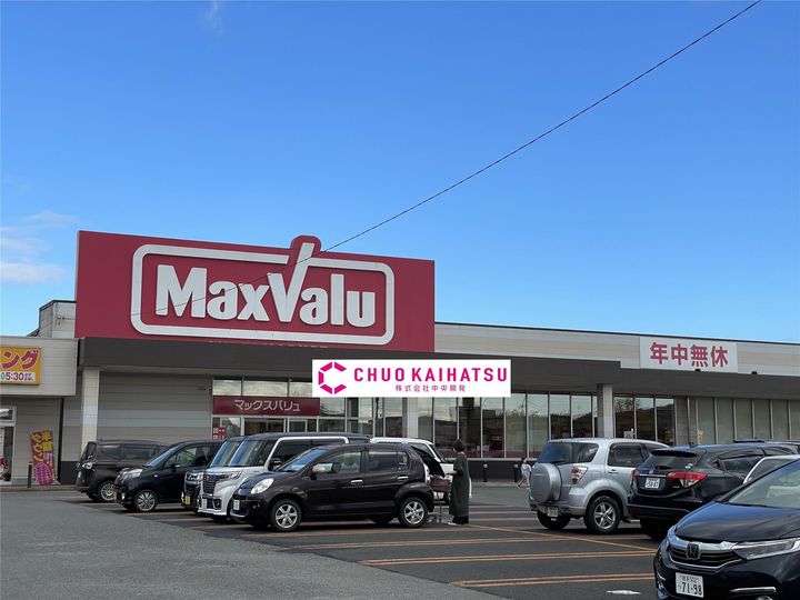 ステラの周辺