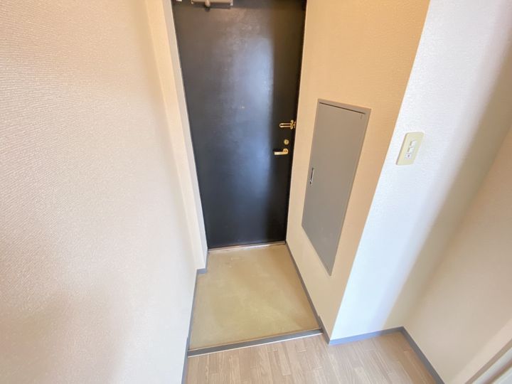 北海道江別市文京台(マンション)の賃貸物件の玄関