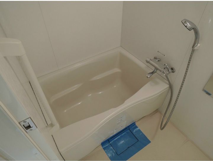 HF愛宕橋レジデンスの風呂