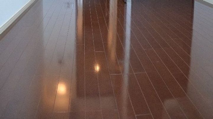 東京都大田区山王3(マンション)の賃貸物件の居間