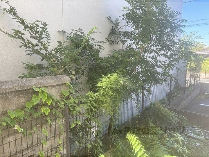 レオパレスK&K1のその他画像