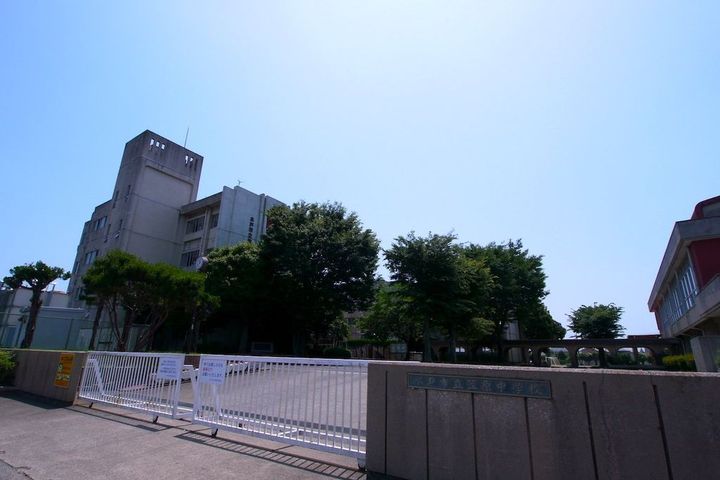 ヴィオラMの周辺