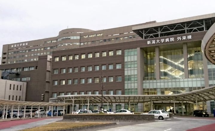 ロード上大川前の周辺