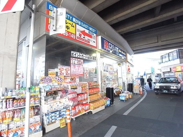 ロイヤルシーズン溝の口VIDAの周辺