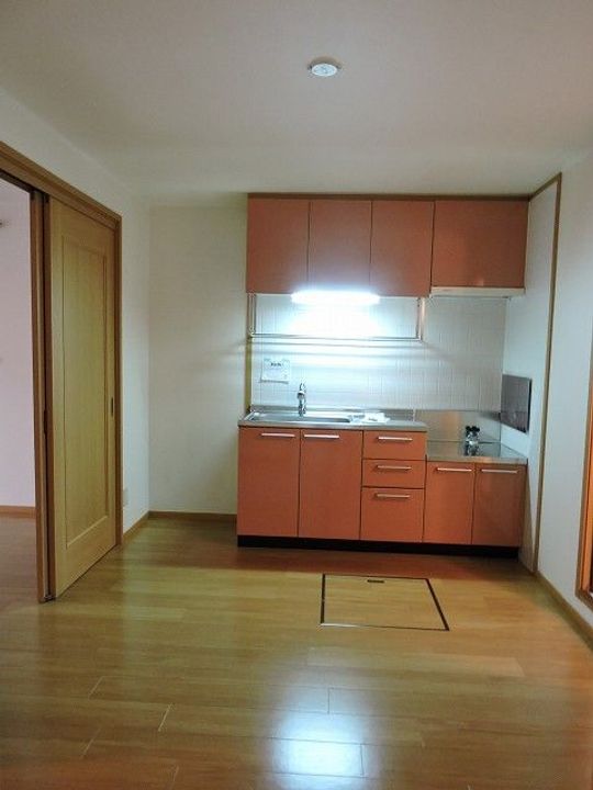 香川県高松市小村町(アパート)の賃貸物件の内装